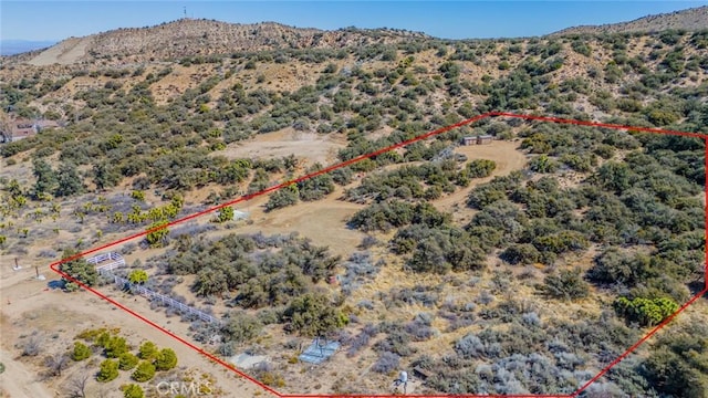 7371 Wild Horse Canyon Rd, Pinon Hills, CA 92372 - photo 6