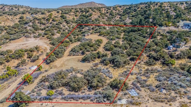 7371 Wild Horse Canyon Rd, Pinon Hills, CA 92372 - photo 7