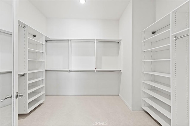 spacious closet with carpet