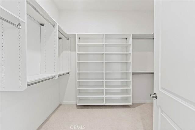 walk in closet with carpet floors
