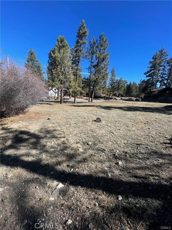 40063 Big Bear Blvd, Big Bear Lake, CA 92315 - photo 2