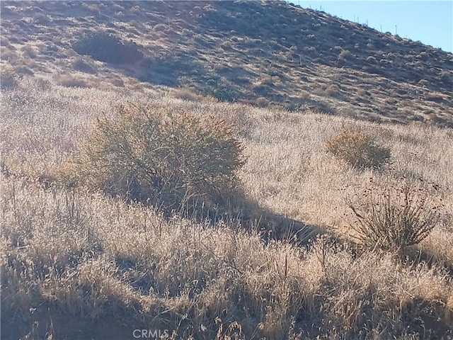 0 Fairlane Rd, Acton, CA 93510 - photo 4
