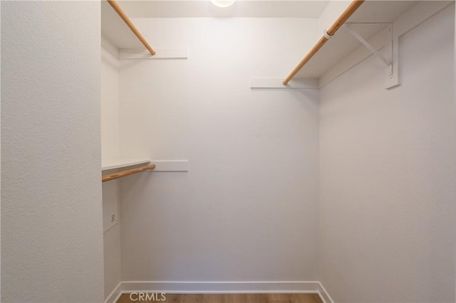spacious closet featuring wood finished floors