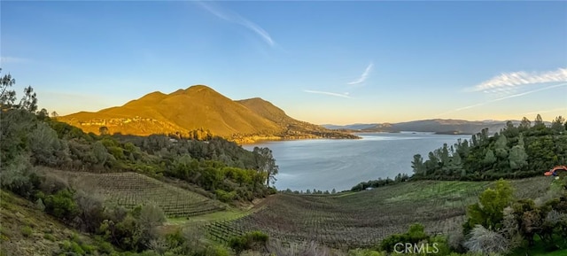 4777 Hawaina Way, Kelseyville, CA 95451 - photo 14