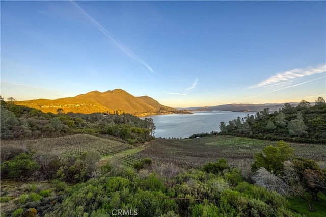 4777 Hawaina Way, Kelseyville, CA 95451 - photo 38