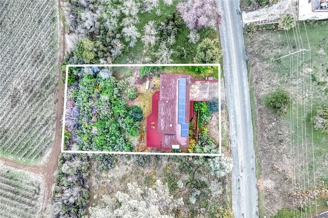 4777 Hawaina Way, Kelseyville, CA 95451 - photo 46