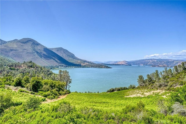 4777 Hawaina Way, Kelseyville, CA 95451 - photo 37