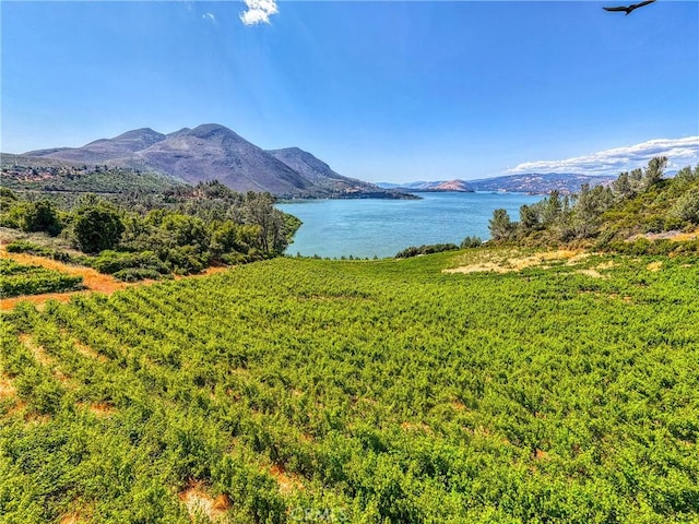 4777 Hawaina Way, Kelseyville, CA 95451 - photo 4