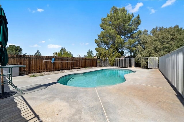 view of pool with a fenced in pool, a fenced backyard, and a patio area