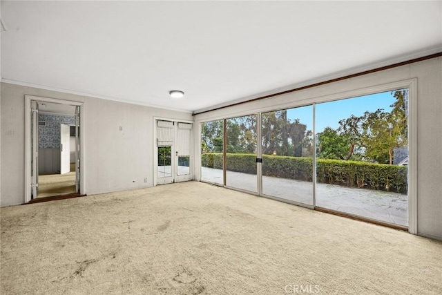 unfurnished living room with crown molding and carpet