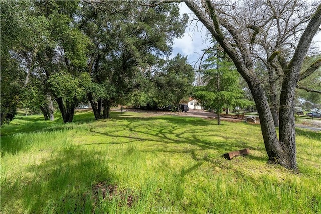 13155 San Antonio Rd, Atascadero, CA 93422 - view of green lawn