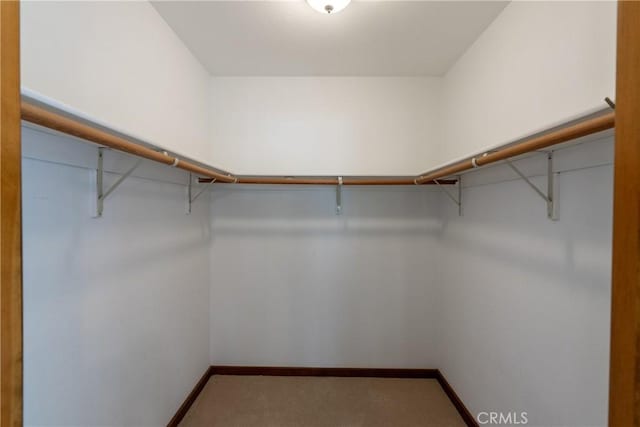 13155 San Antonio Rd, Atascadero, CA 93422 - walk in closet featuring carpet