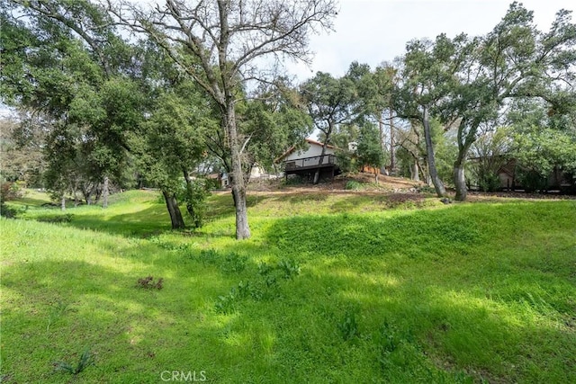 13155 San Antonio Rd, Atascadero, CA 93422 - view of yard