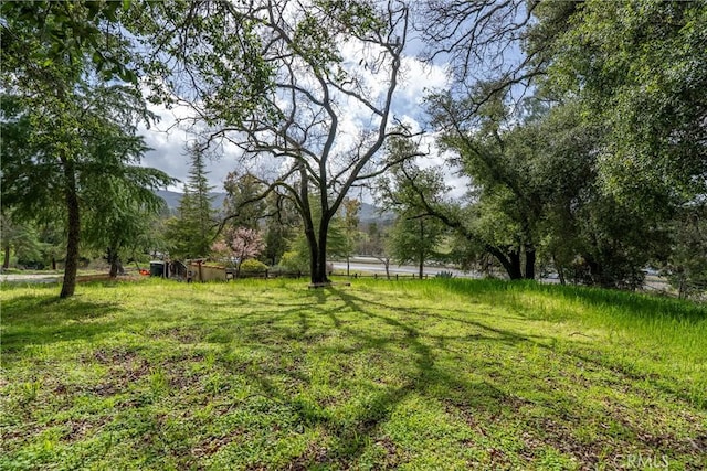 13155 San Antonio Rd, Atascadero, CA 93422 - view of yard