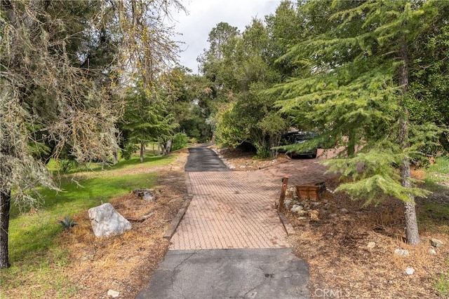13155 San Antonio Rd, Atascadero, CA 93422 - view of street