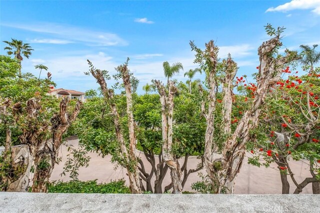 5 Avenida Daroca, Coto De Caza, CA 92679 - photo 33