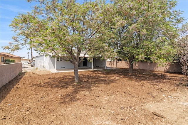 view of yard with a patio area and a fenced backyard