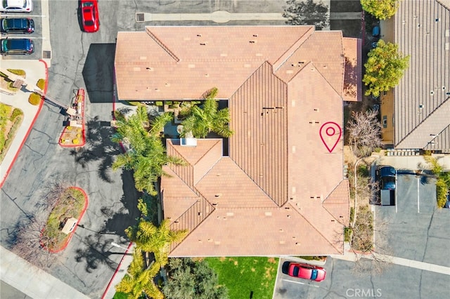 bird's eye view