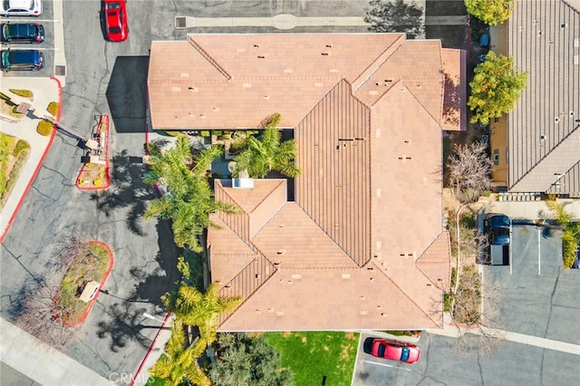 drone / aerial view