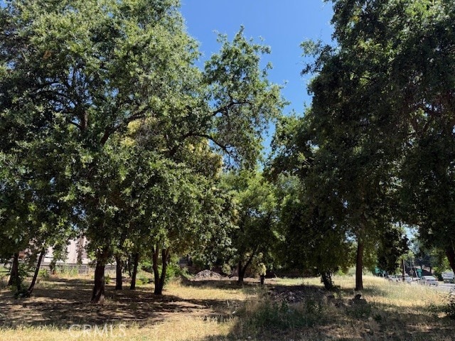 1368 E 9th St, Chico, CA 95928 - photo 5