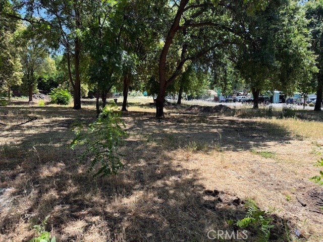 1368 E 9th St, Chico, CA 95928 - photo 3