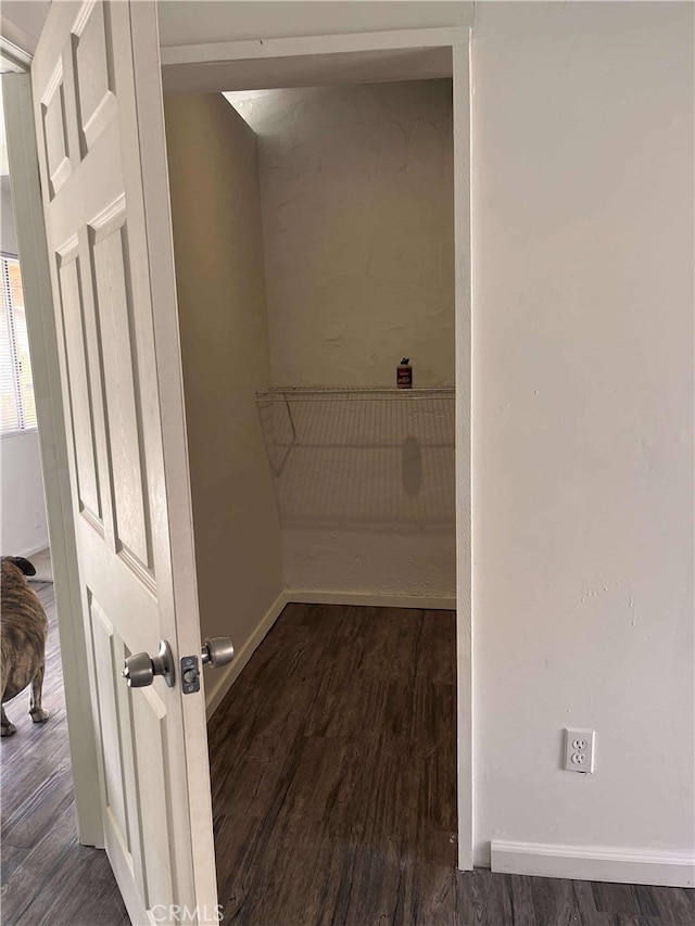 walk in closet with wood finished floors