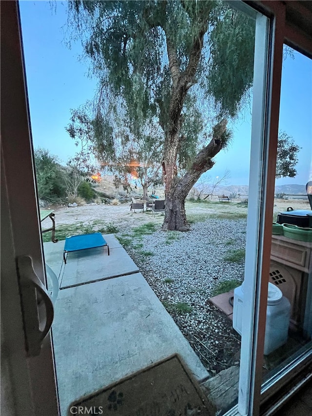 view of yard featuring a patio