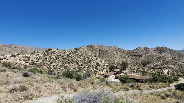 10122 Pine Pl, Morongo Valley, CA 92256 - photo 4