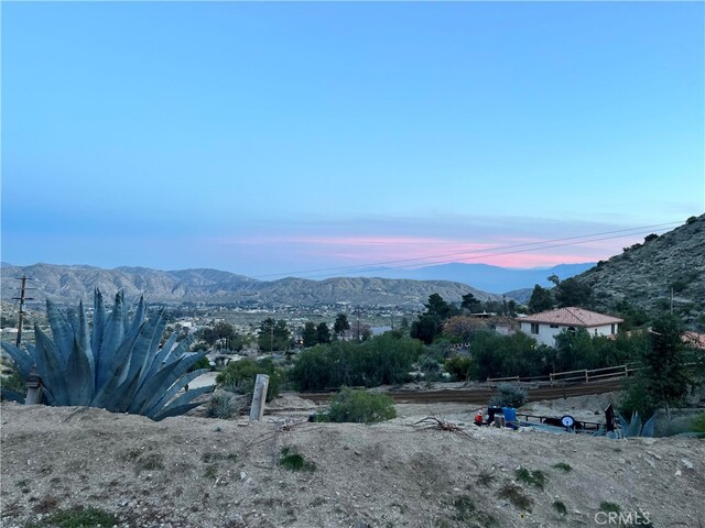 10122 Pine Pl, Morongo Valley, CA 92256 - photo 33