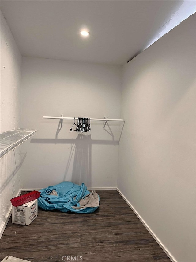 walk in closet featuring wood finished floors