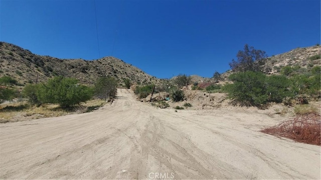 10122 Pine Pl, Morongo Valley, CA 92256 - photo 50
