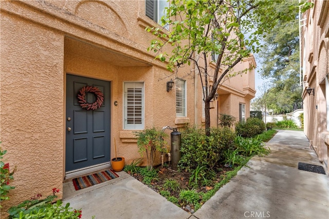 doorway to property featuring stucco siding