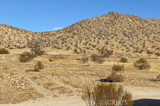 19951 Old El Mirage Rd, Adelanto, CA 92301 - photo 8