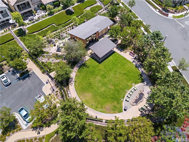 drone / aerial view