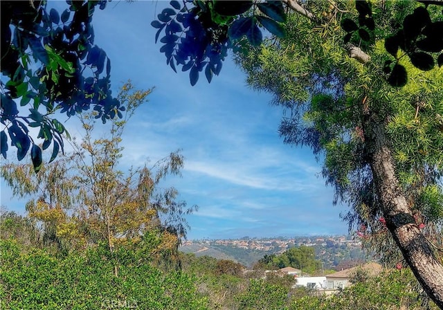 11891 Ramsdell Ct, San Diego, CA 92131 - exterior space