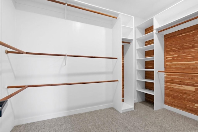 walk in closet featuring carpet floors