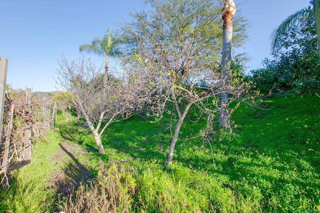 view of landscape
