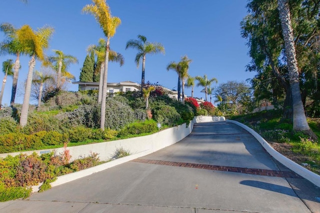 view of road with concrete driveway