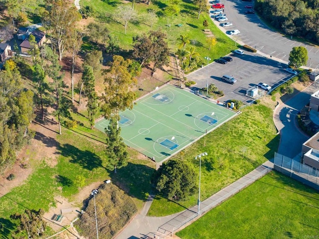bird's eye view