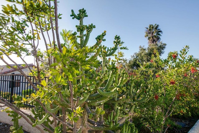 view of landscape