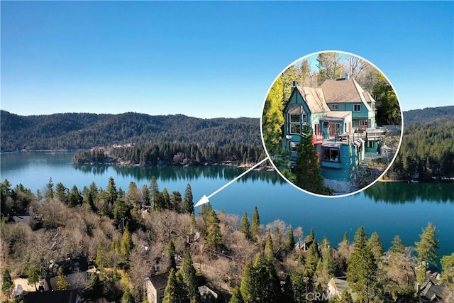 28019 N Shore Rd, Lake Arrowhead, CA 92352 - water view with a forest