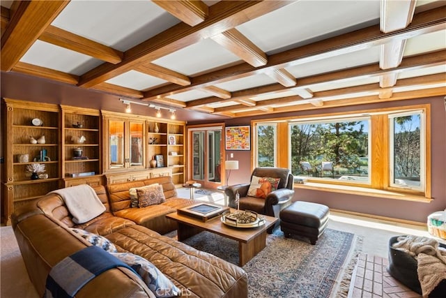 28019 N Shore Rd, Lake Arrowhead, CA 92352 - living room featuring coffered ceiling, carpet floors, beam ceiling, built in features, and track lighting