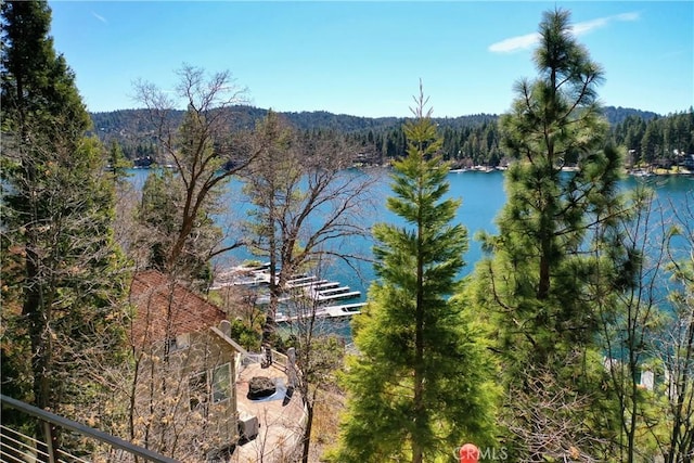 28019 N Shore Rd, Lake Arrowhead, CA 92352 - water view with a forest