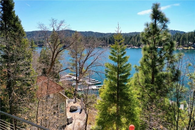 28019 N Shore Rd, Lake Arrowhead, CA 92352 - water view featuring a heavily wooded area