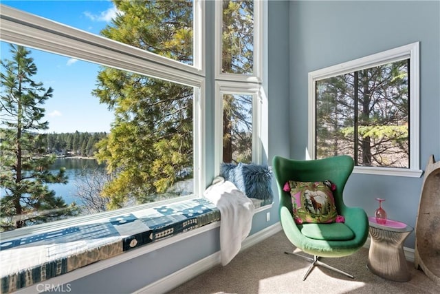 28019 N Shore Rd, Lake Arrowhead, CA 92352 - sunroom / solarium featuring a water view