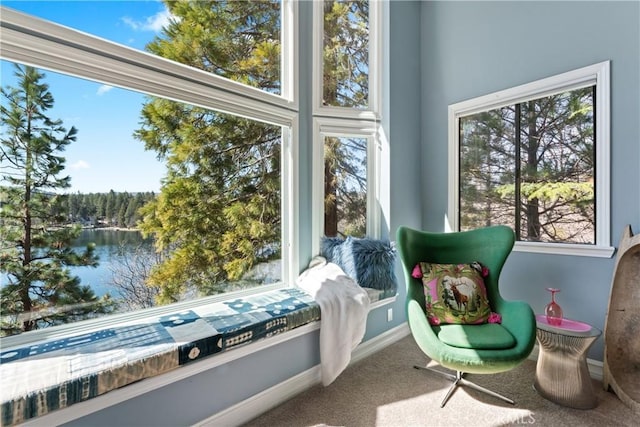 28019 N Shore Rd, Lake Arrowhead, CA 92352 - sunroom / solarium with a water view