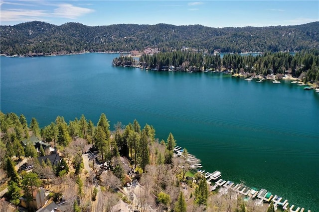 28019 N Shore Rd, Lake Arrowhead, CA 92352 - bird's eye view of a forest and a water and mountain view