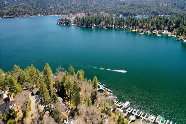 28019 N Shore Rd, Lake Arrowhead, CA 92352 - aerial view of a nearby body of water