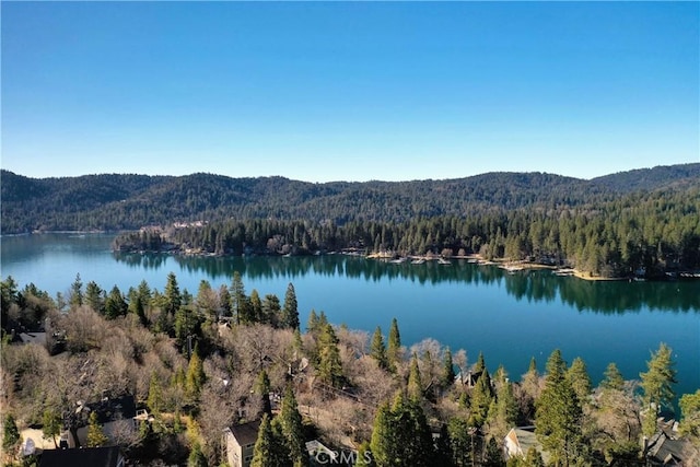 28019 N Shore Rd, Lake Arrowhead, CA 92352 - water view featuring a heavily wooded area and a mountainous background