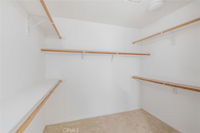 spacious closet with light carpet